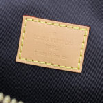 Louis Vuitton Rush Bumbag M24858 Brown